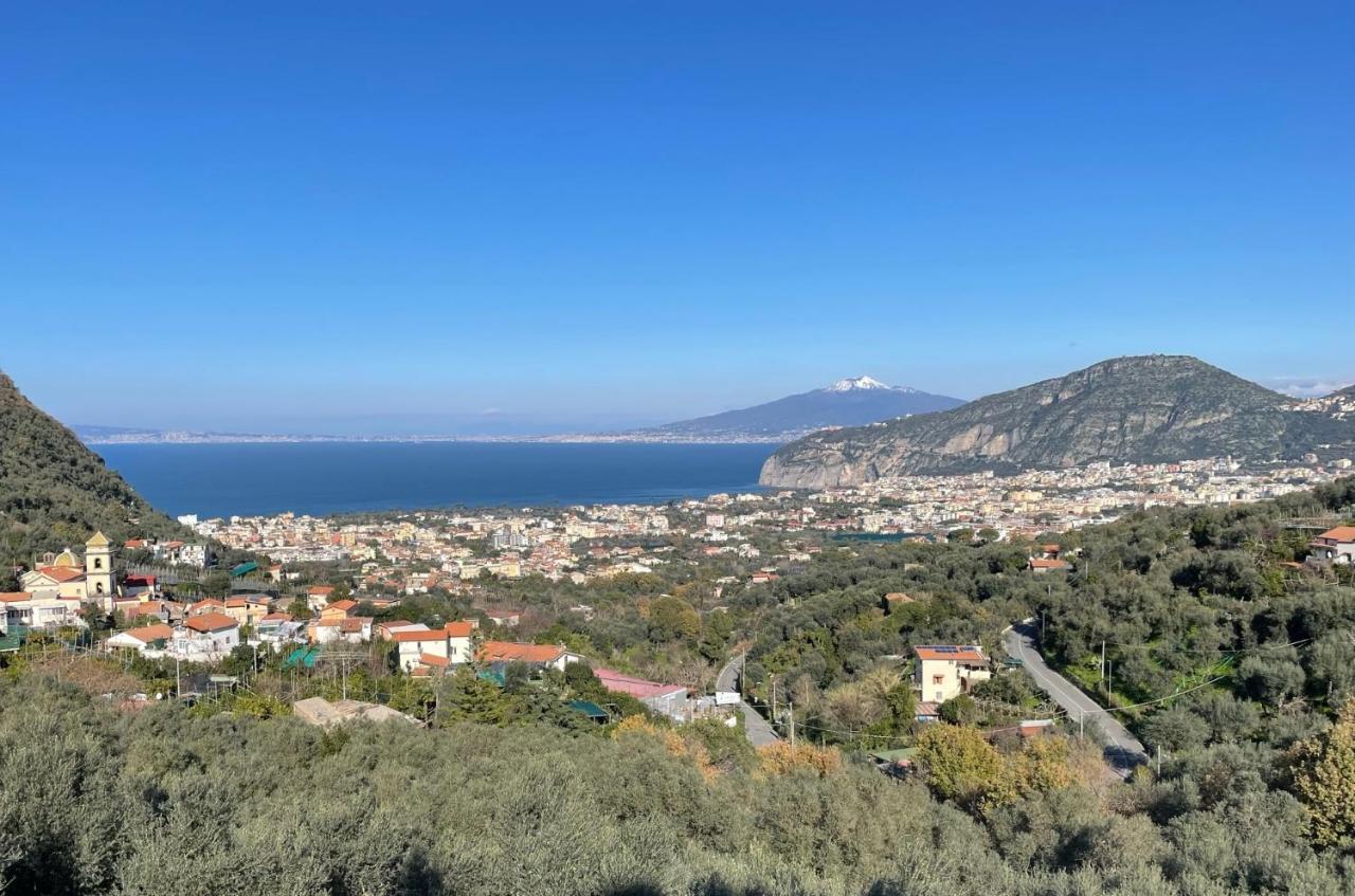 Holidays Homes The Dream Sant'Agnello Eksteriør billede