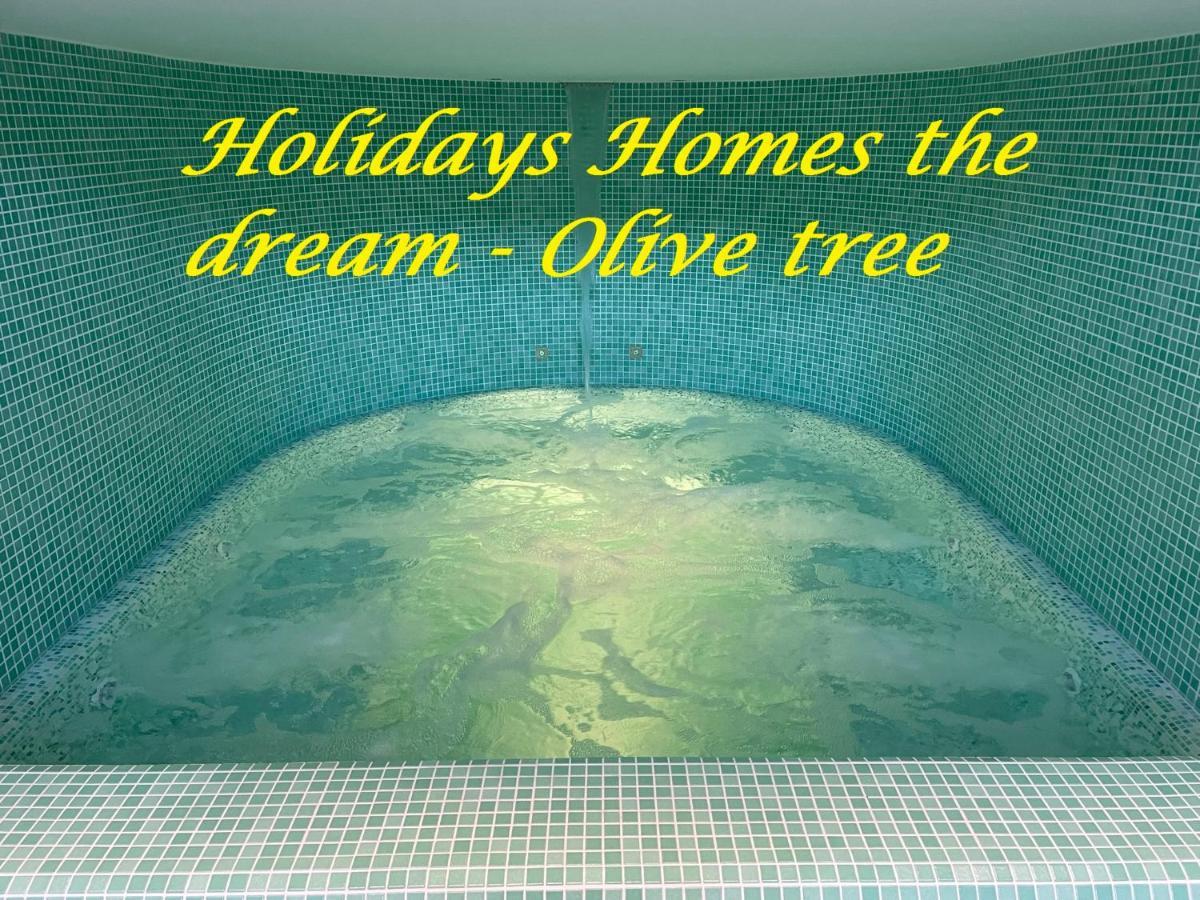 Holidays Homes The Dream Sant'Agnello Eksteriør billede