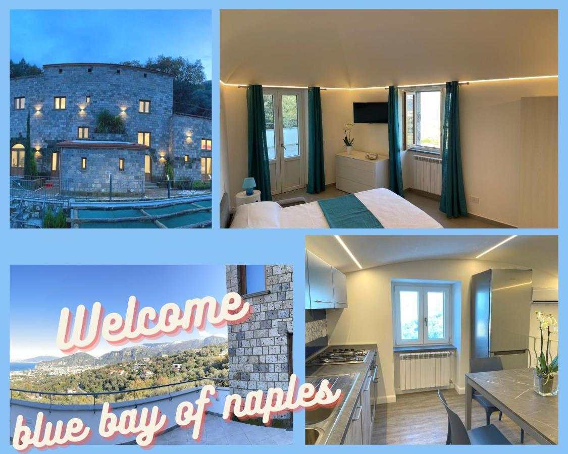 Holidays Homes The Dream Sant'Agnello Eksteriør billede