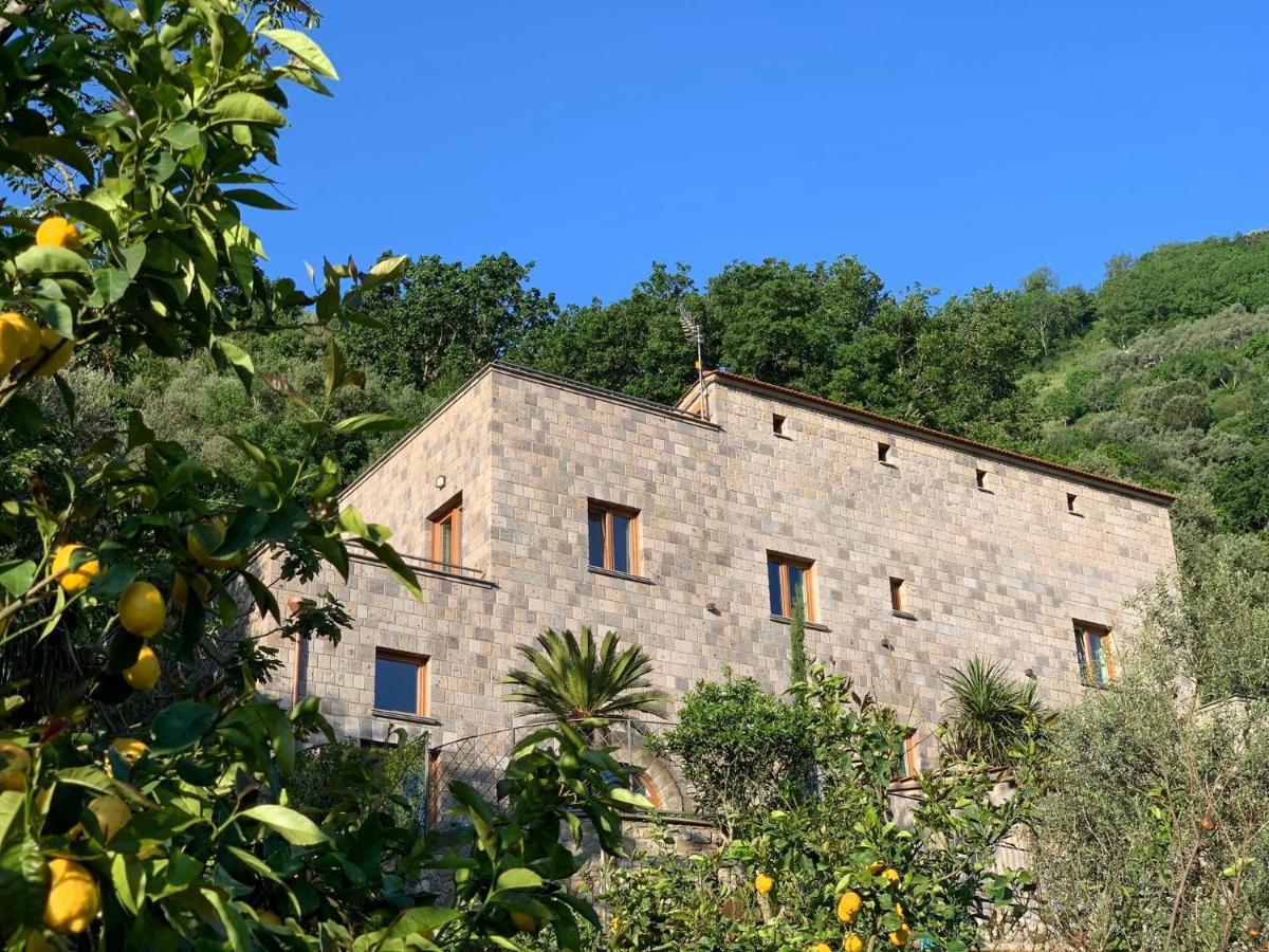 Holidays Homes The Dream Sant'Agnello Eksteriør billede