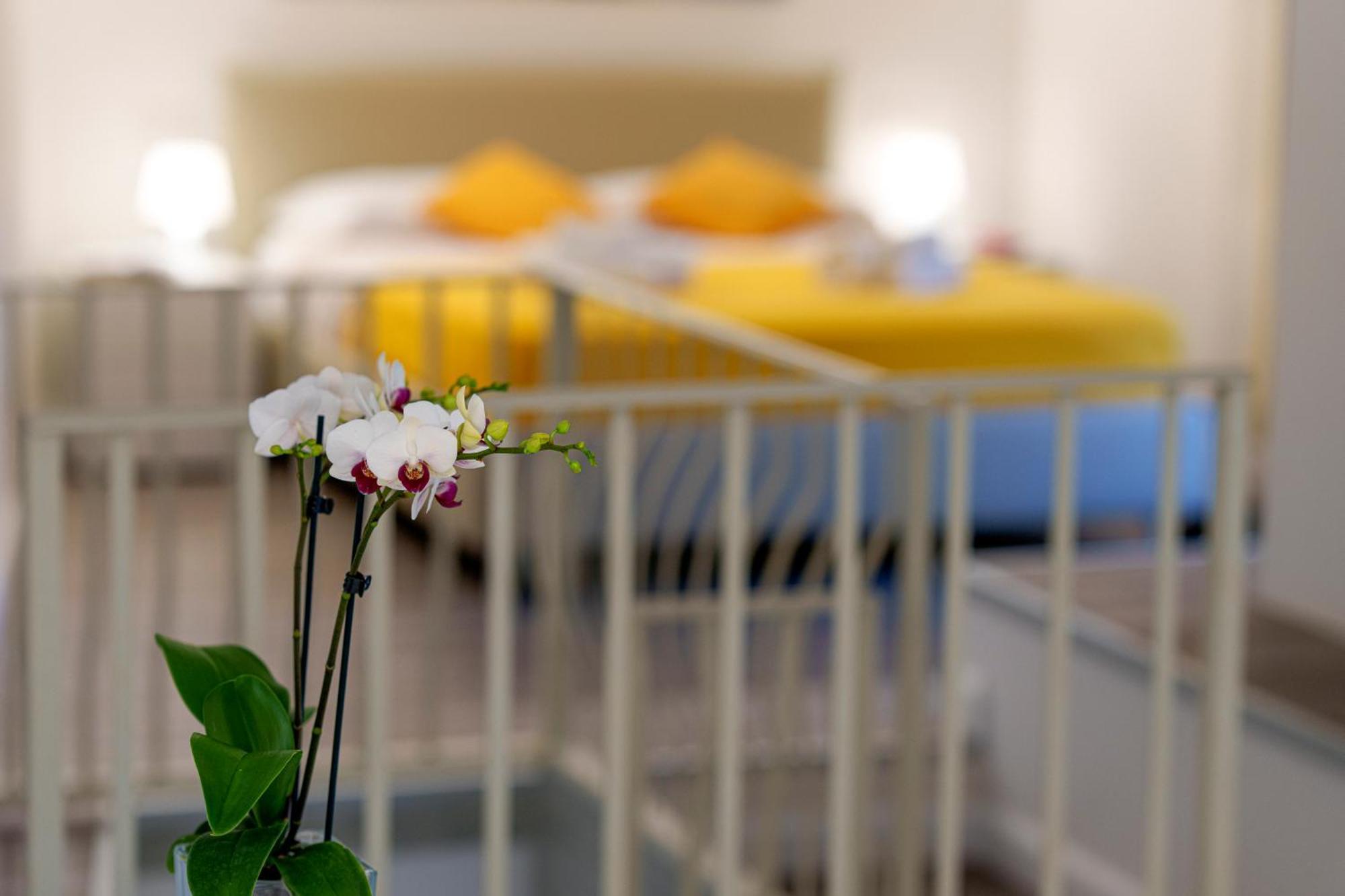 Holidays Homes The Dream Sant'Agnello Eksteriør billede