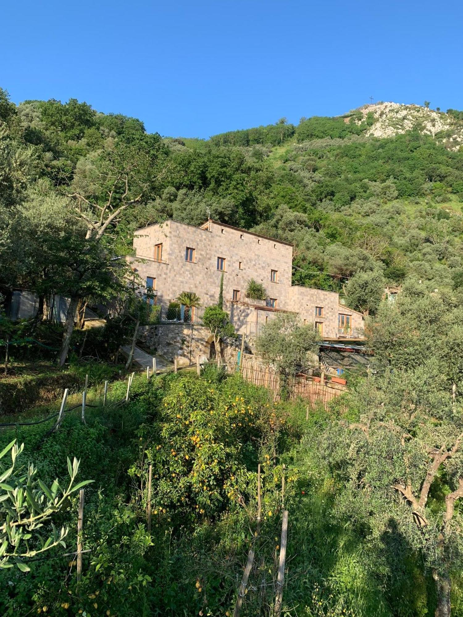 Holidays Homes The Dream Sant'Agnello Eksteriør billede