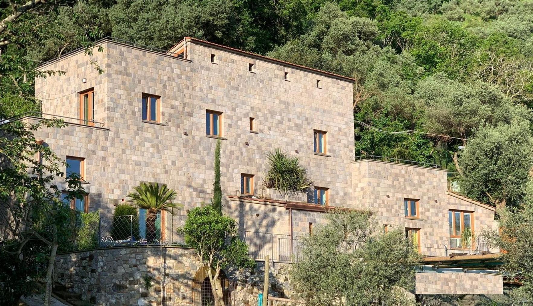 Holidays Homes The Dream Sant'Agnello Eksteriør billede