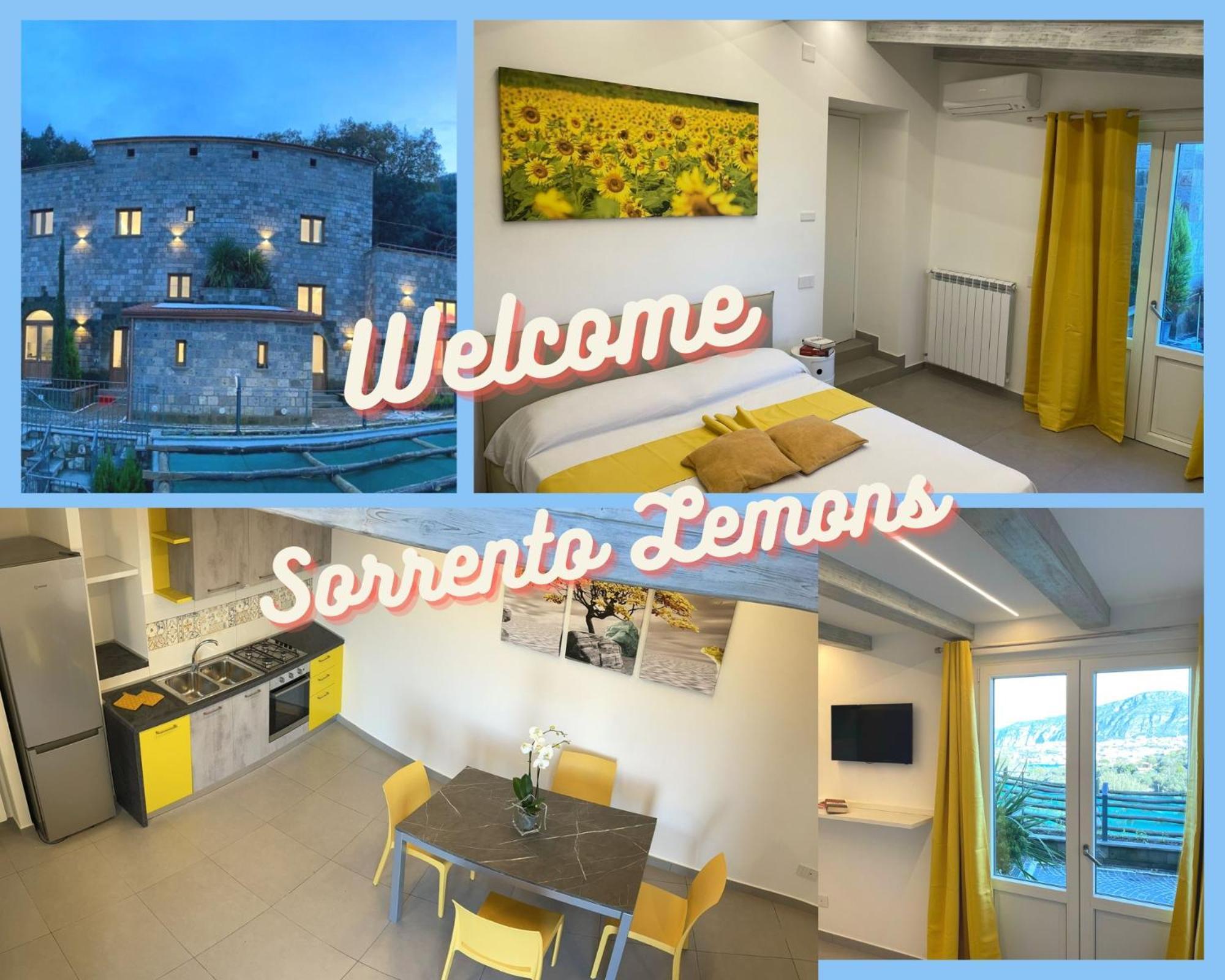 Holidays Homes The Dream Sant'Agnello Eksteriør billede