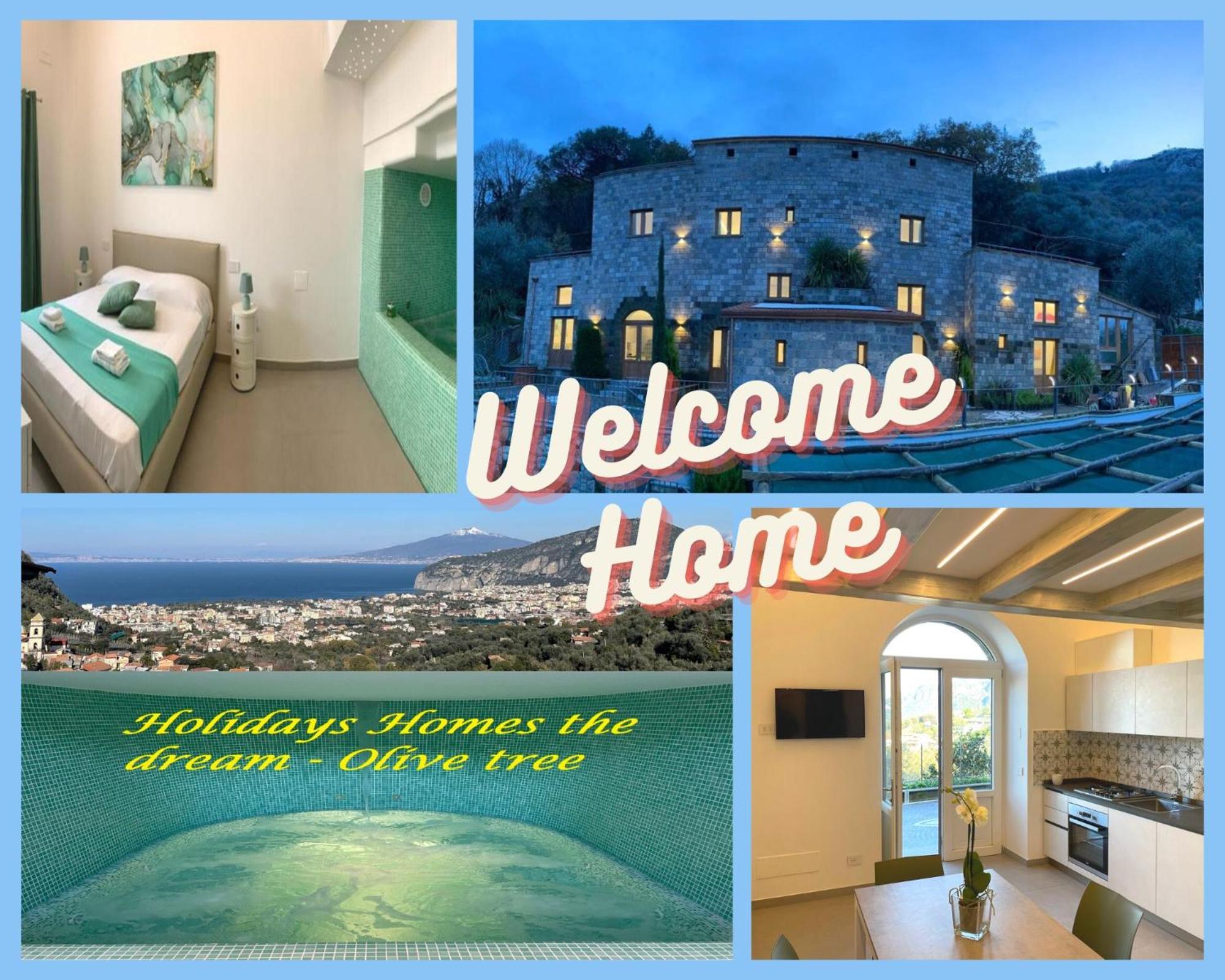 Holidays Homes The Dream Sant'Agnello Eksteriør billede