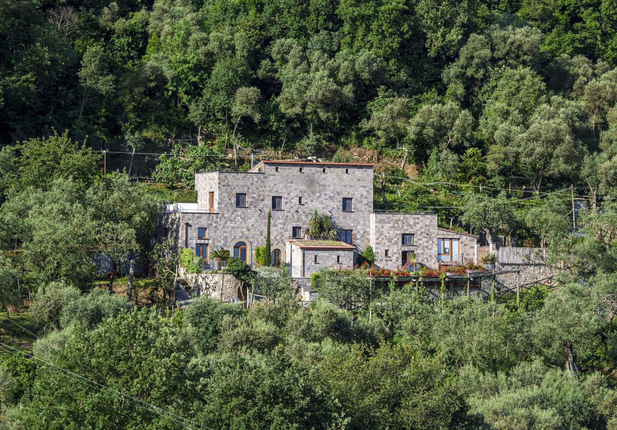 Holidays Homes The Dream Sant'Agnello Eksteriør billede